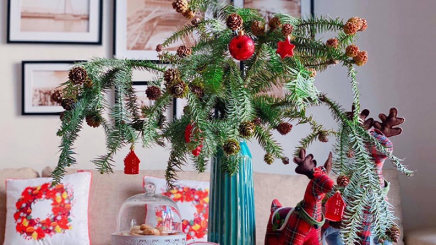 Fresh pine trees become popular for Christmas decorations